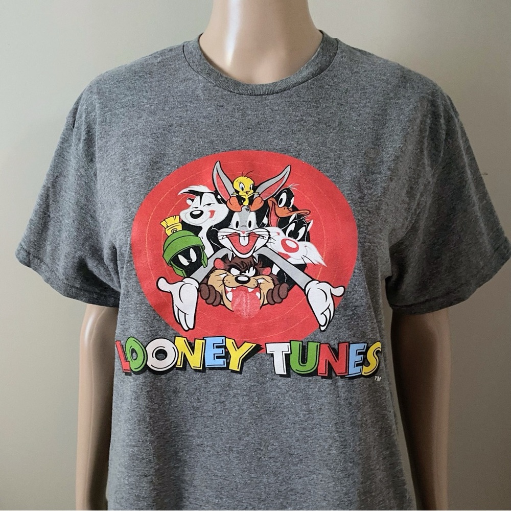 Warner Bros. Looney Tunes Family Gray T-Shirt, men’s medium